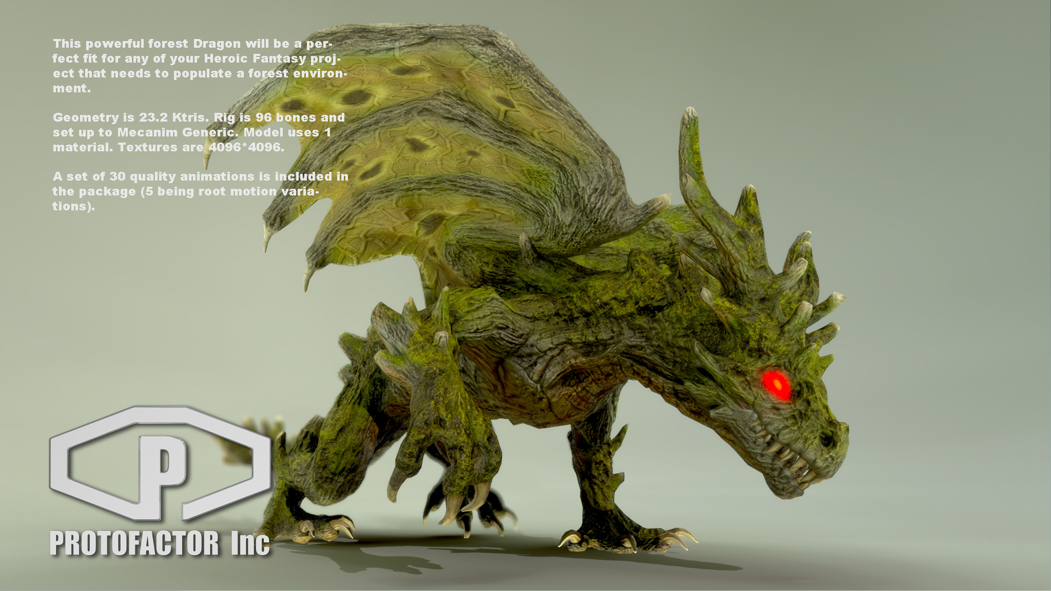 FOREST DRAGON - Image 2