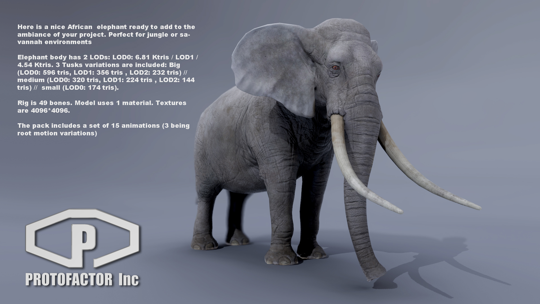 ELEPHANT - Image 7