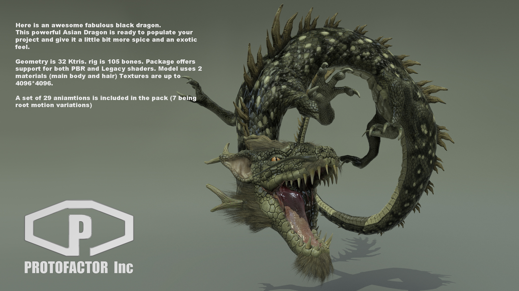 BLACK DRAGON - Image 2