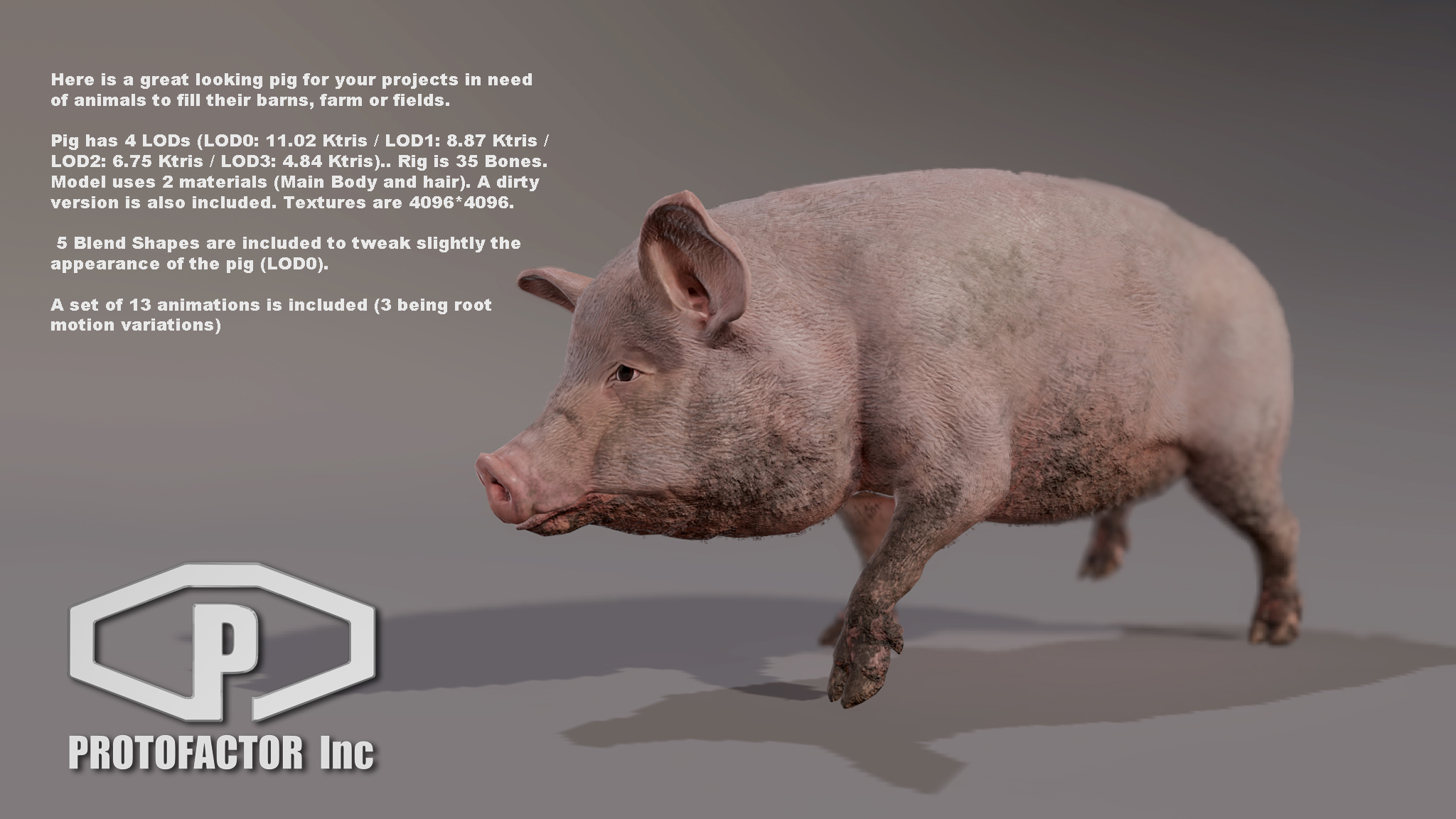 PIG - Image 2