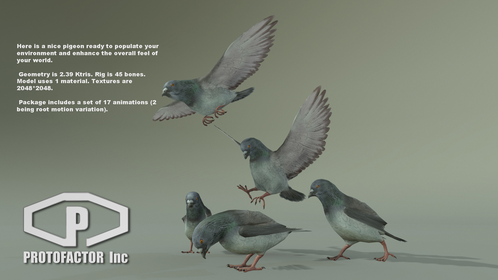 PIGEON - Image 2