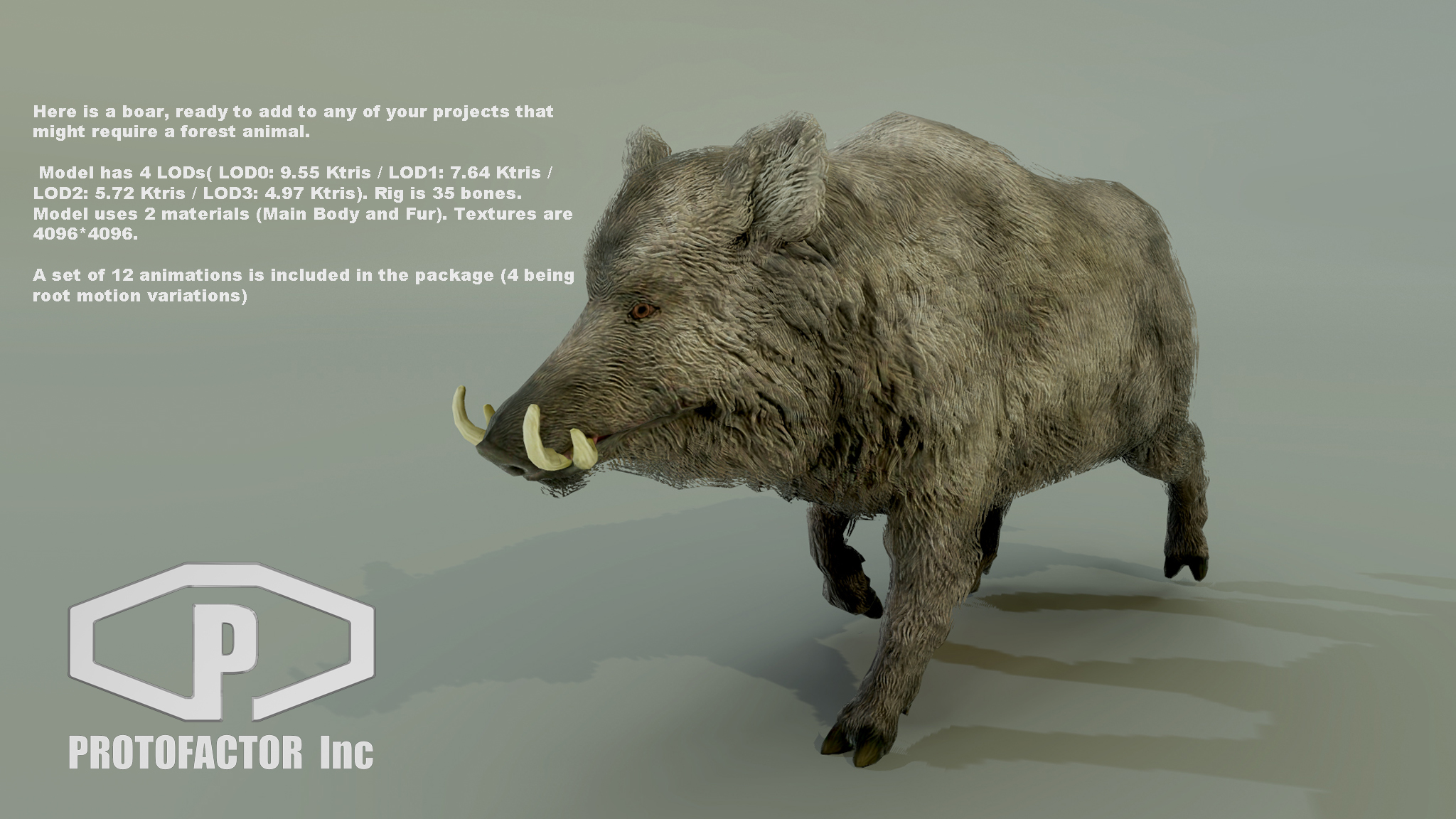 BOAR - Image 2