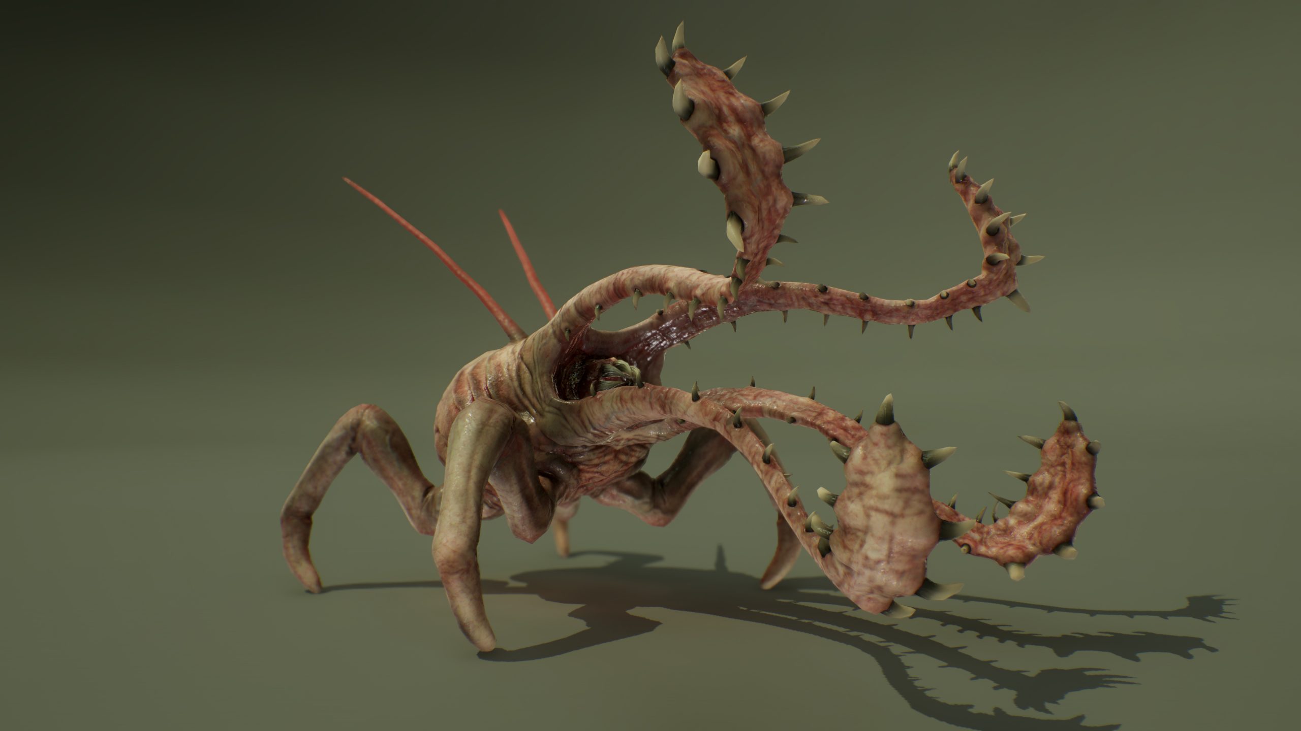 MONSTER: MORPHORRID