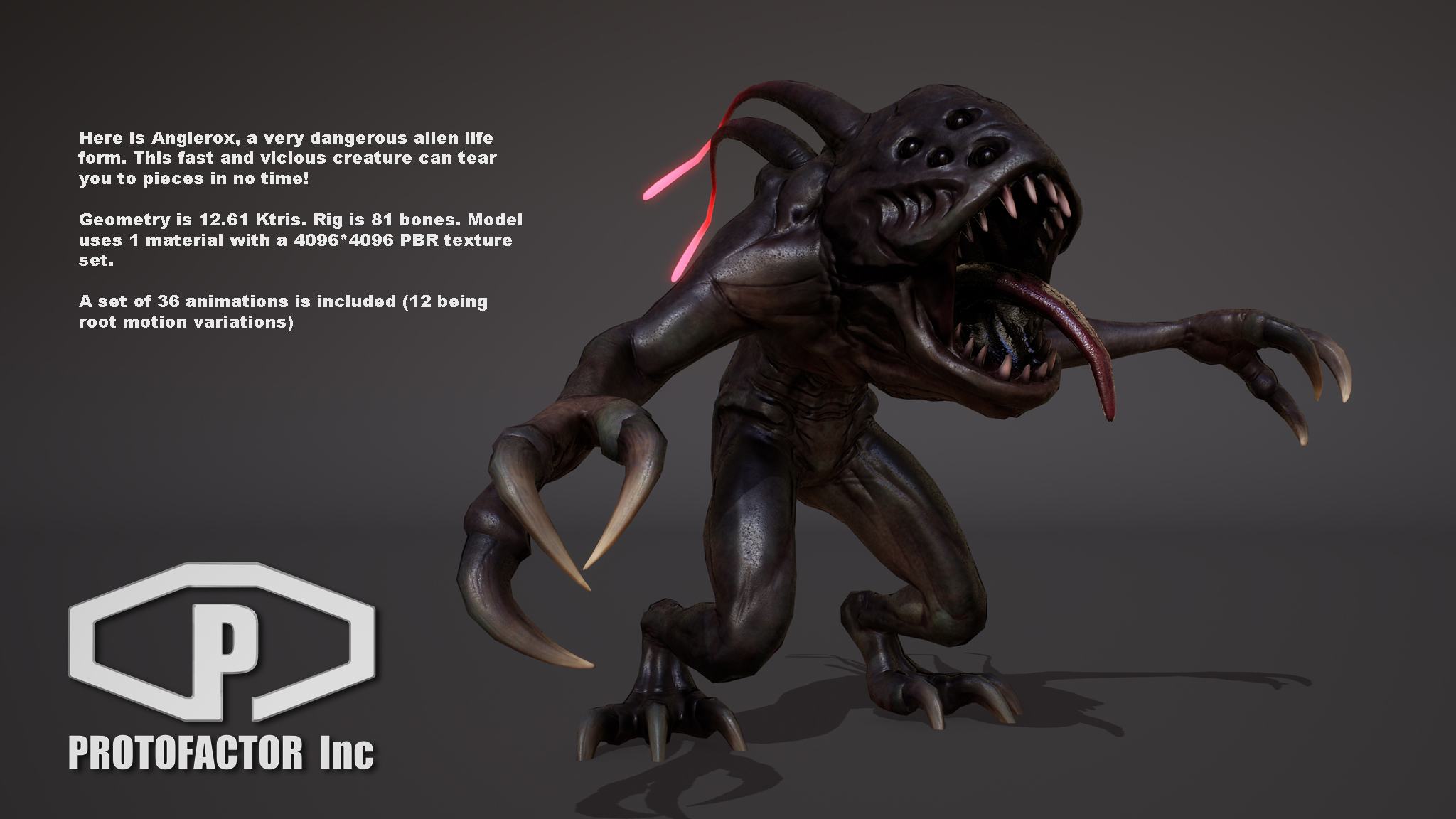 ANGLEROX - Image 2