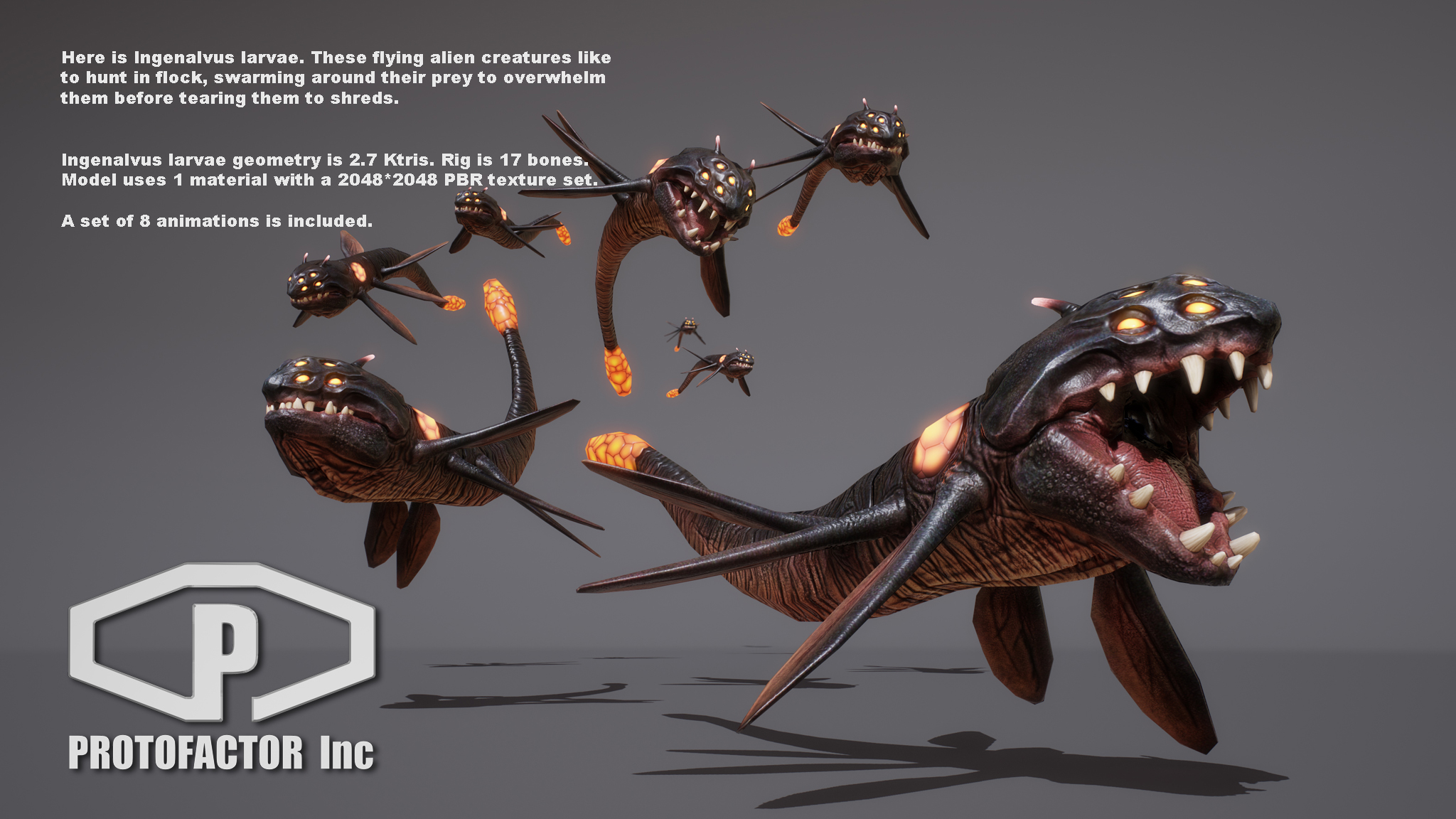 INGENALVUS LARVAE - Image 2