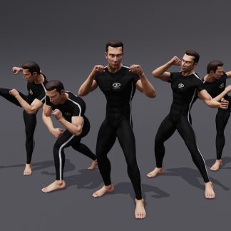 ANIMSET: COMBAT BARE FISTS
