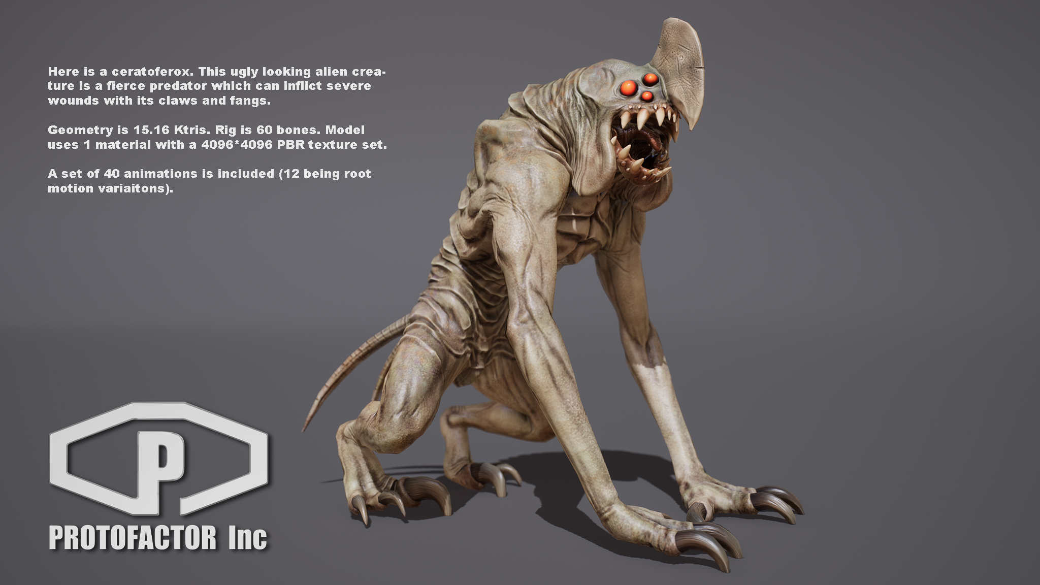 CERATOFEROX - Image 2