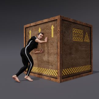 ANIMSET: PUSH CUBE