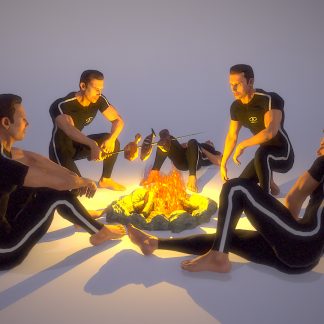 ANIMSET: CAMPFIRE