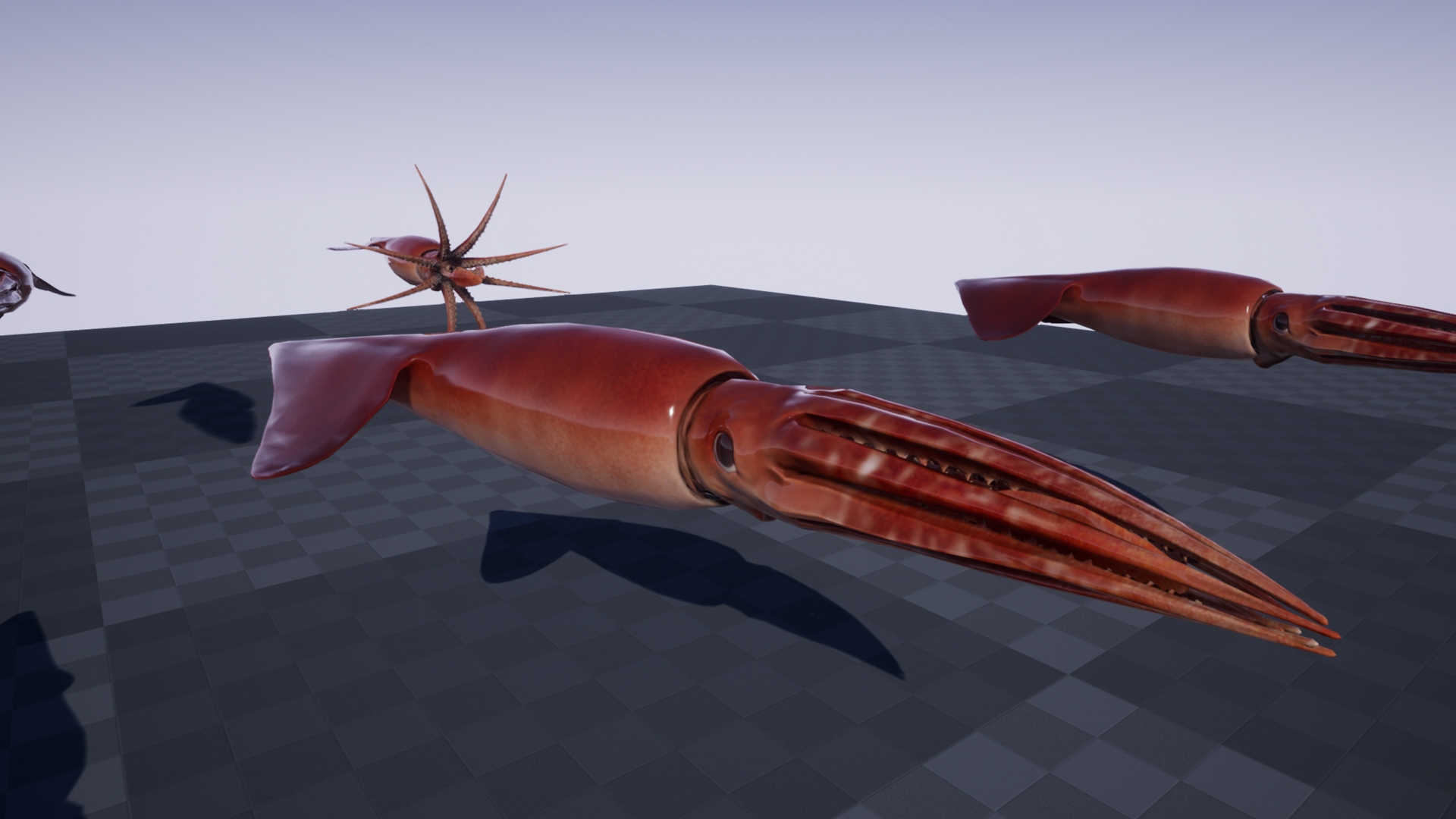 HUMBOLDT SQUID - Image 3