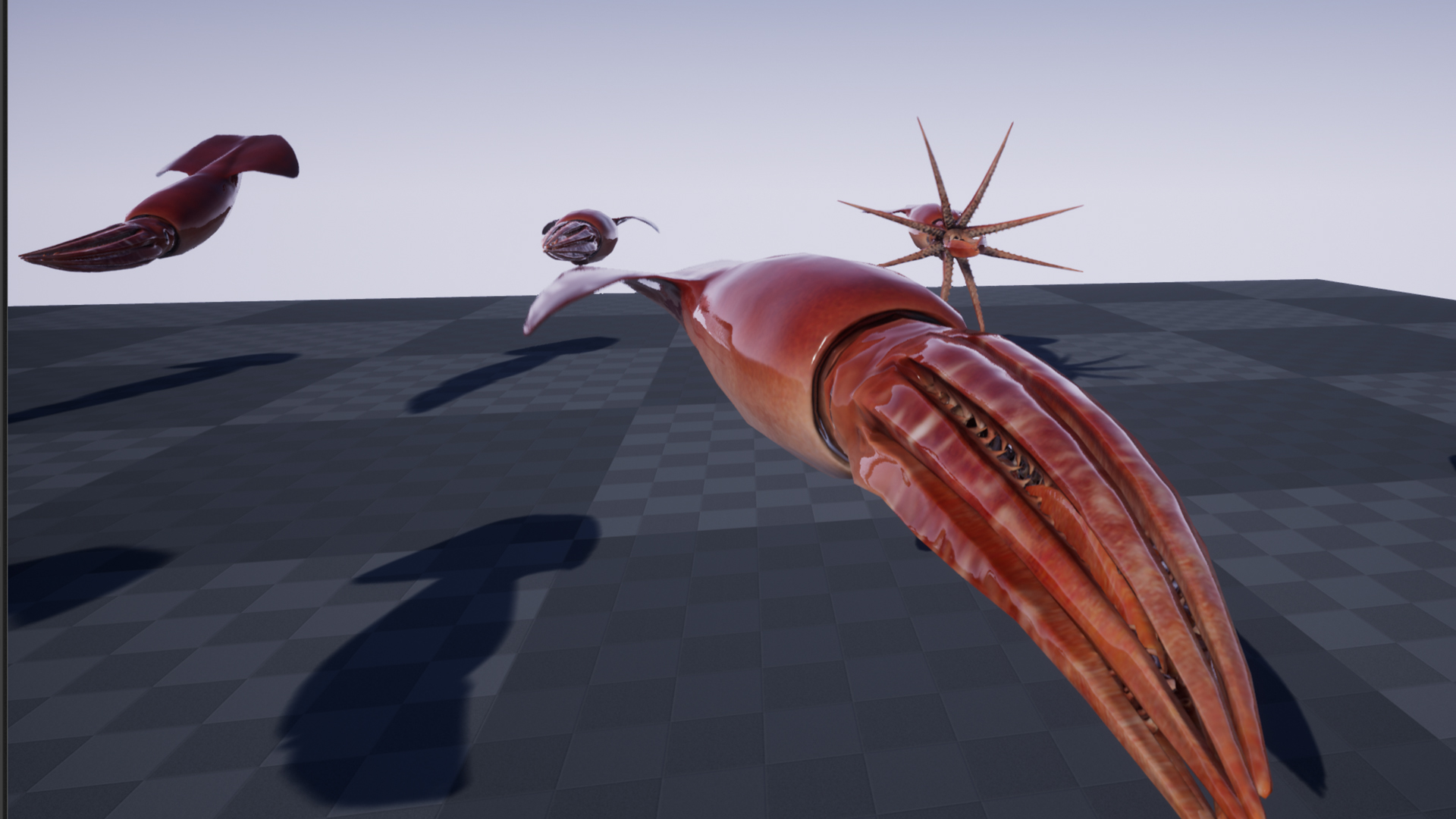 HUMBOLDT SQUID - Image 4