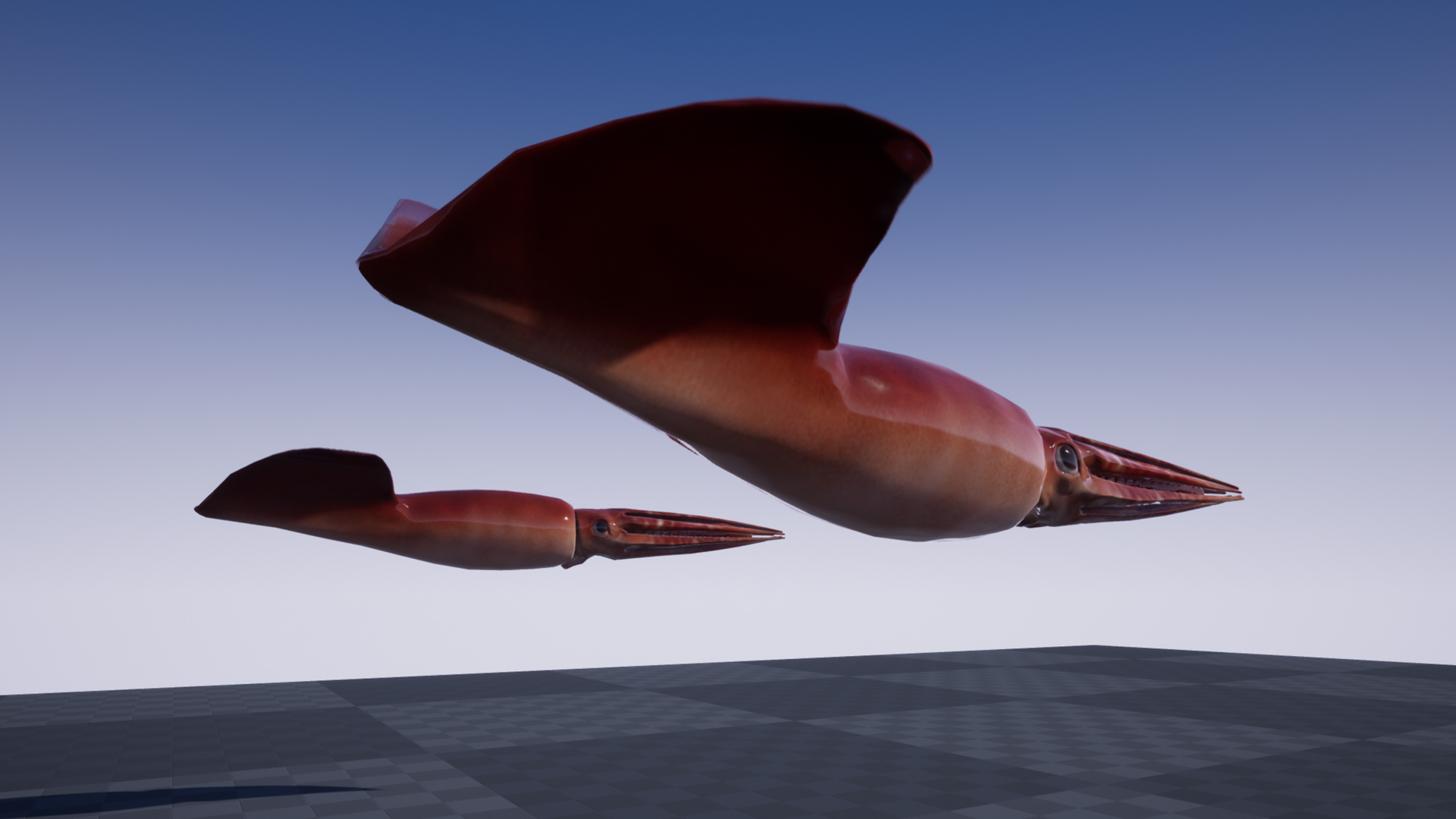 HUMBOLDT SQUID - Image 5