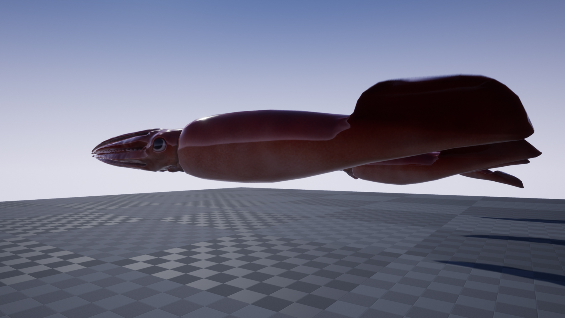 HUMBOLDT SQUID - Image 6