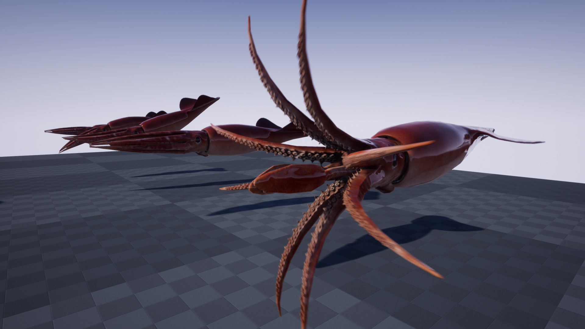 HUMBOLDT SQUID - Image 7