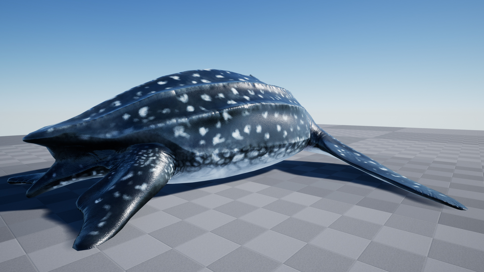 LUTH TURTLE - Image 5