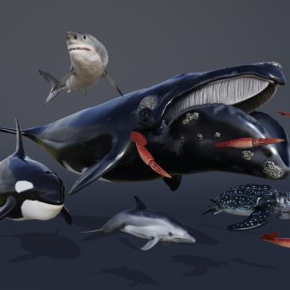 OCEAN ANIMALS PACK VOL 1