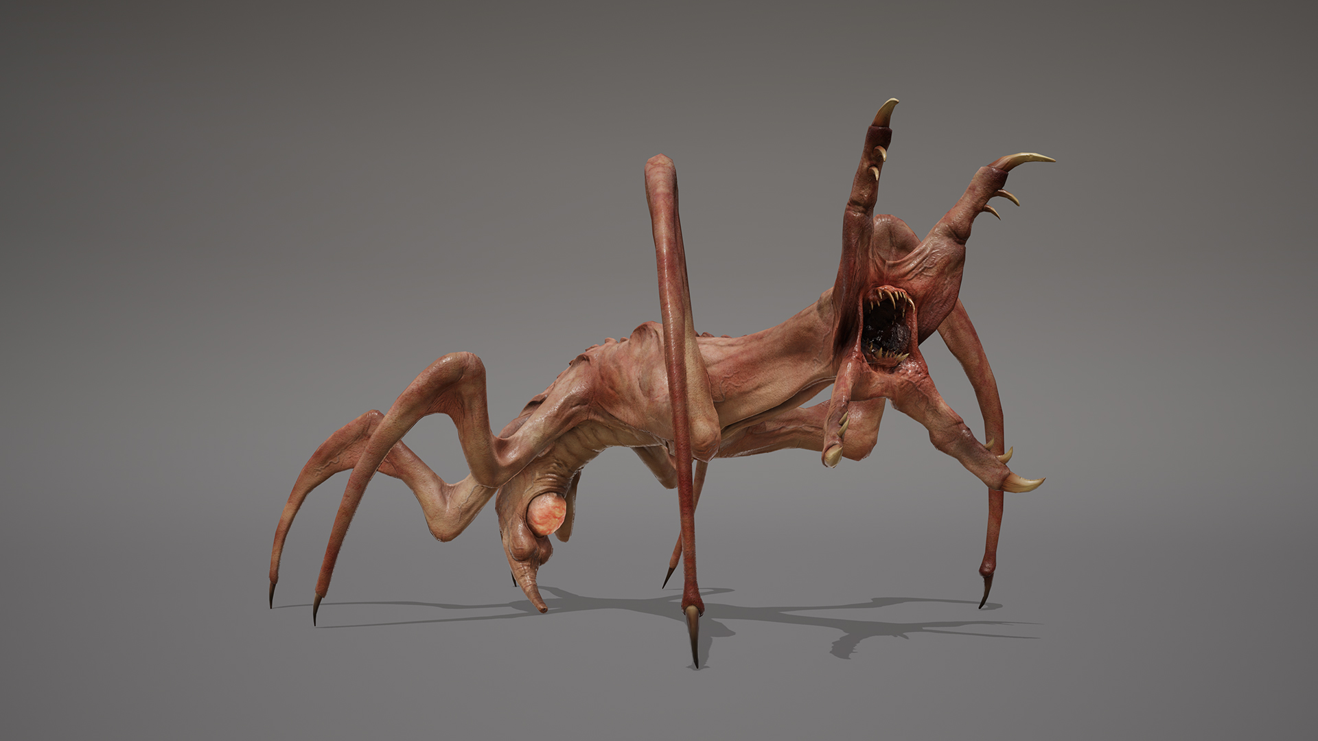 MONSTER: HORRIDOMORPH