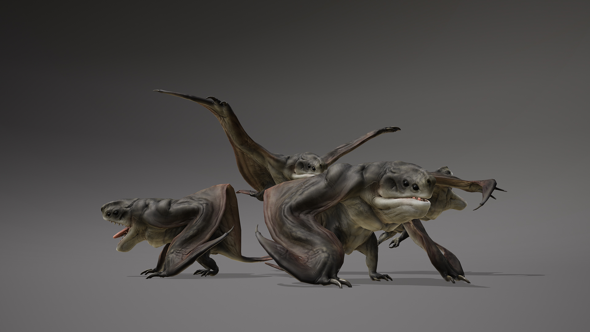 MONSTER: FEROPTERE
