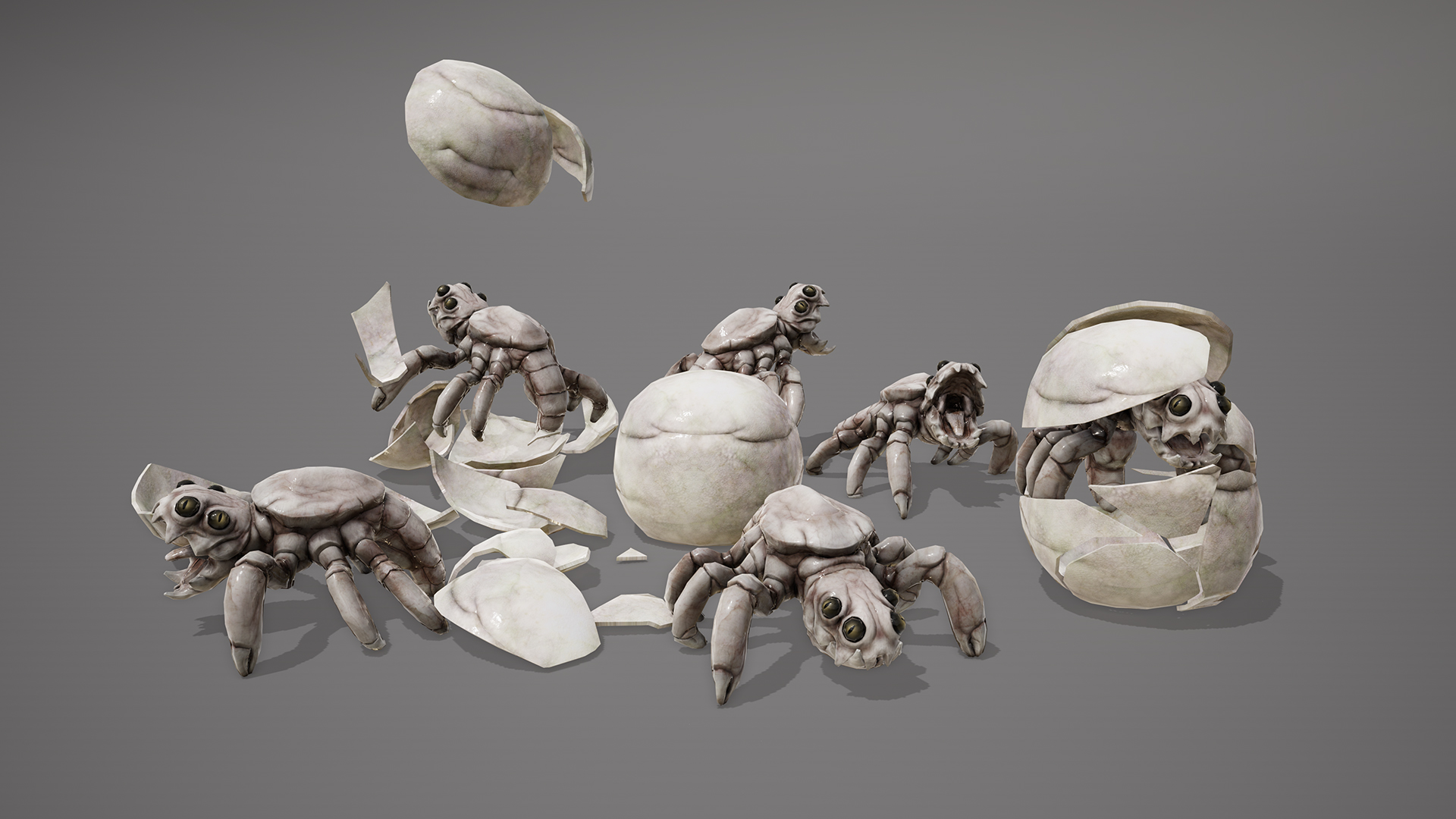 MONSTER: ROSTROKARCK LARVAE