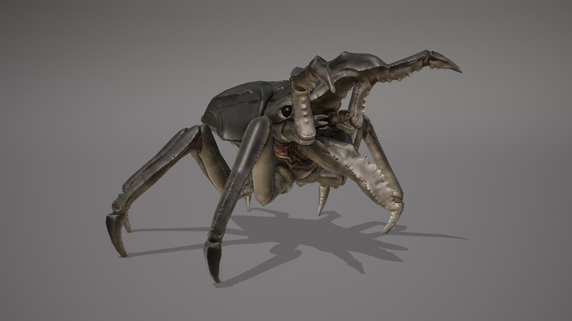 MONSTER: CARCINOPTERA