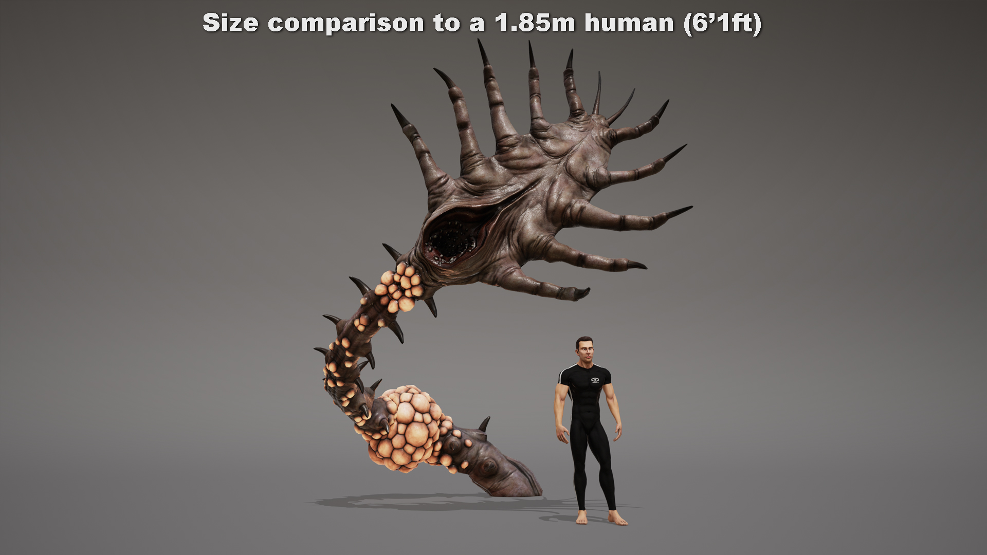 MONSTER: SERPMARE - Image 3