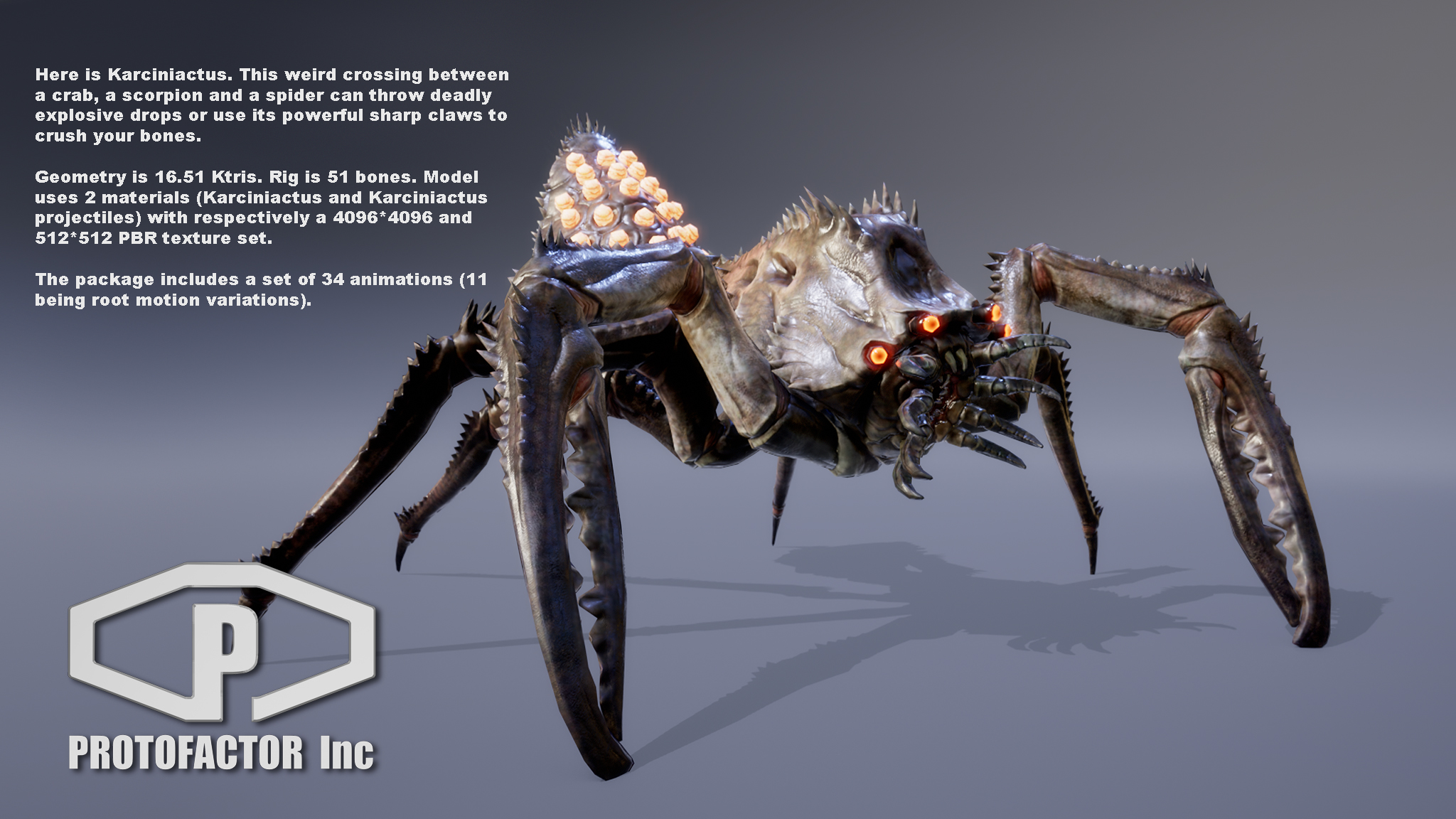 KARCINIACTUS - Image 3
