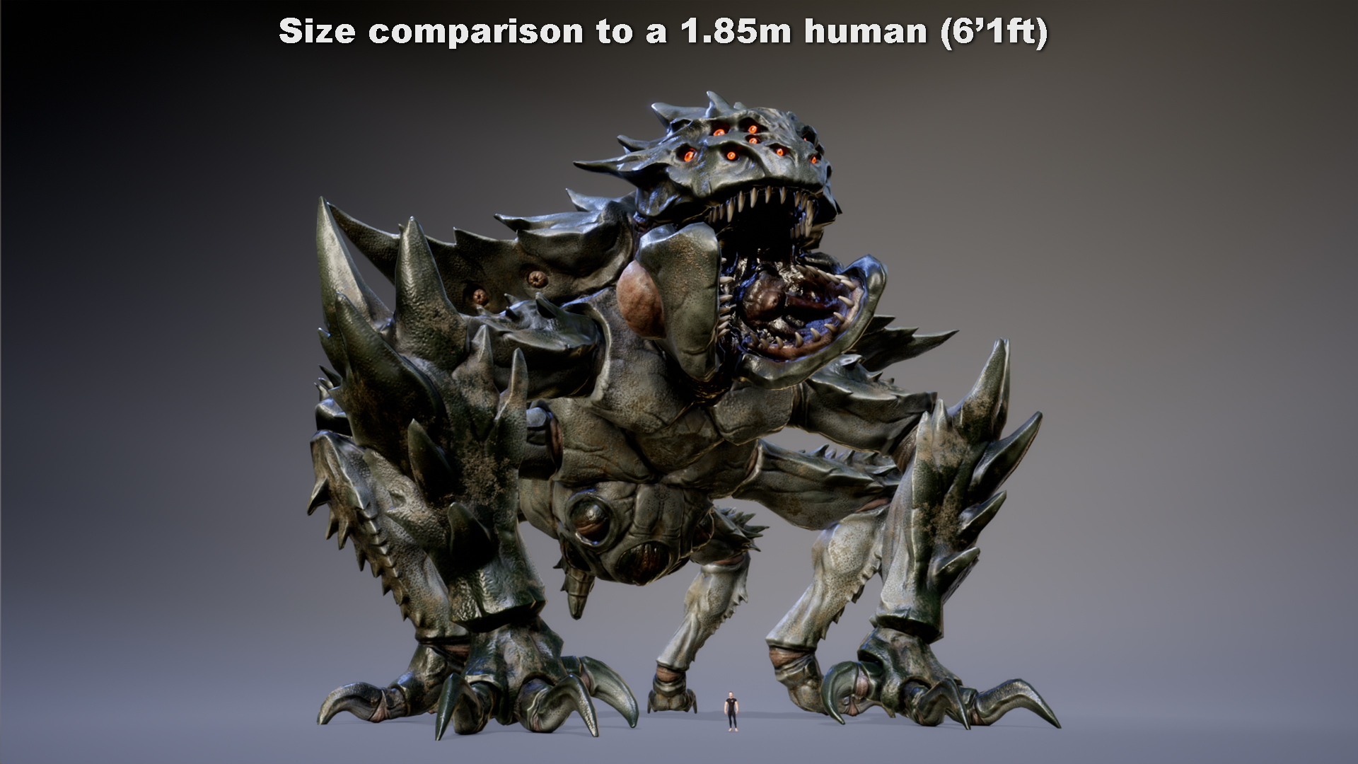 MEGASPIKAN - Image 2