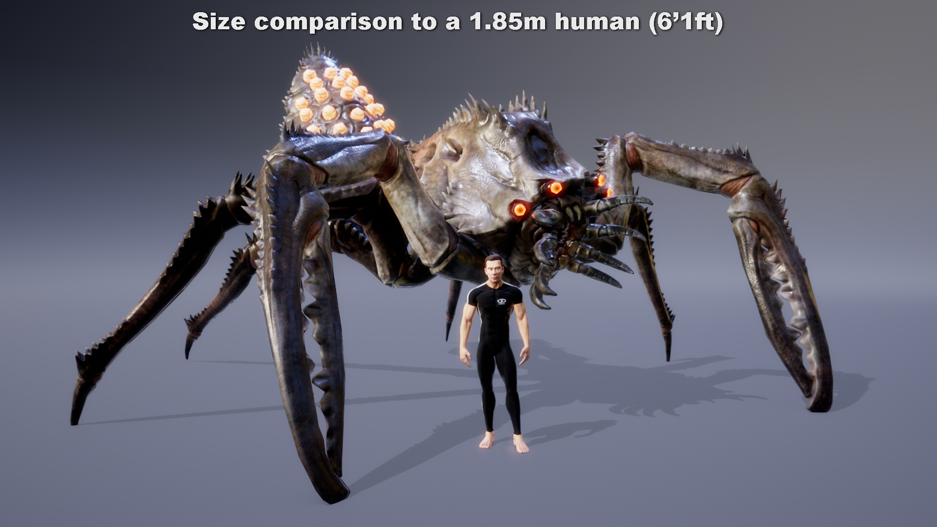 KARCINIACTUS - Image 2