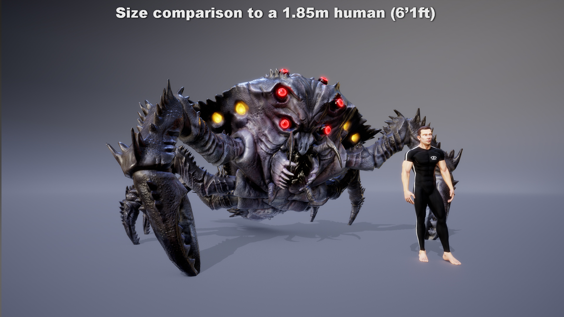 KARCICODUS - Image 3