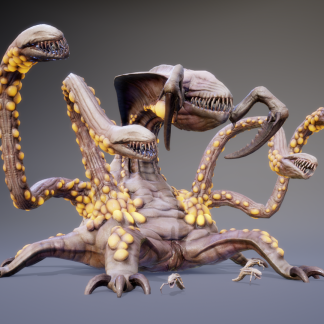 KOLOSSOXENOPHIS