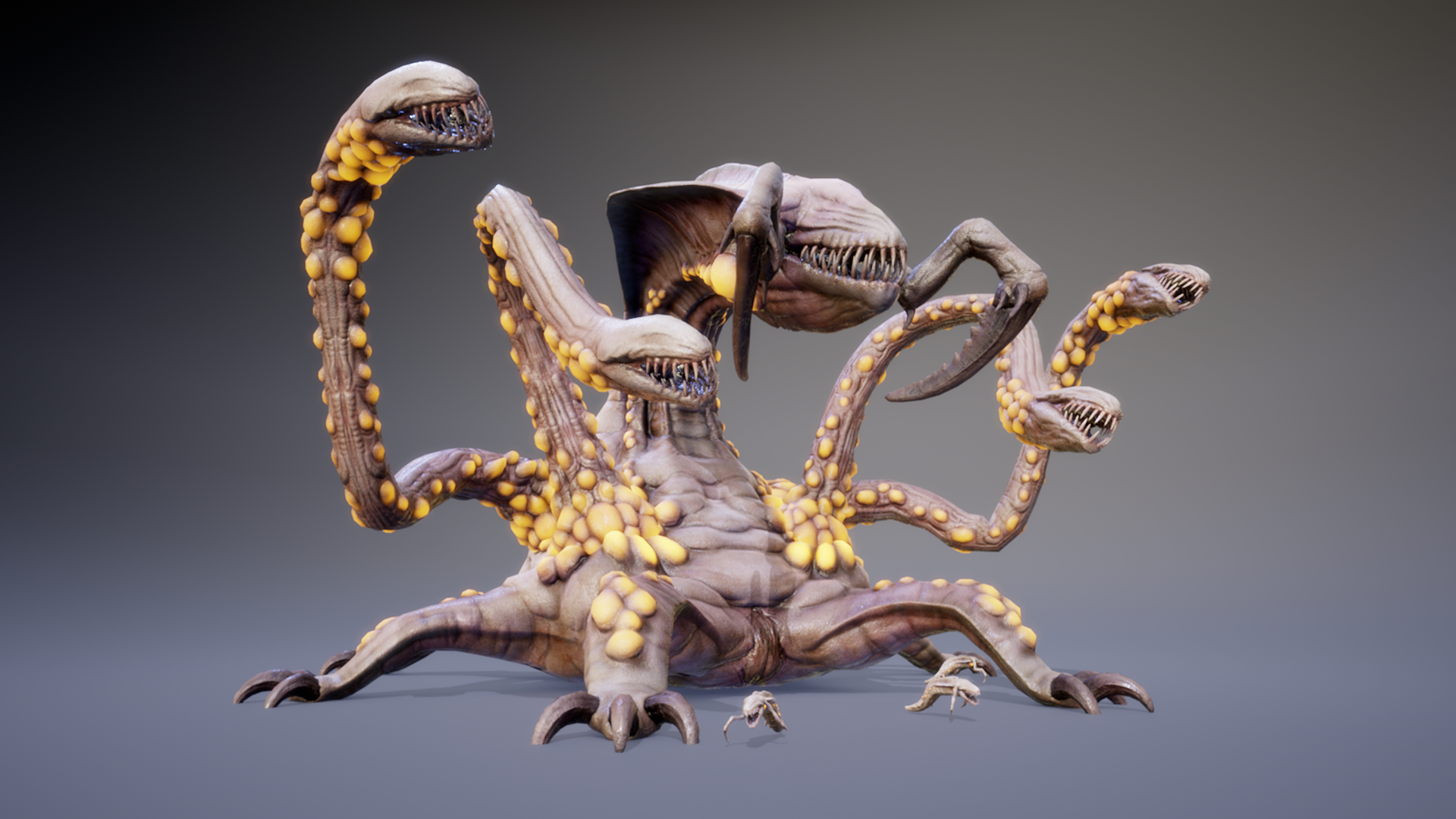 KOLOSSOXENOPHIS