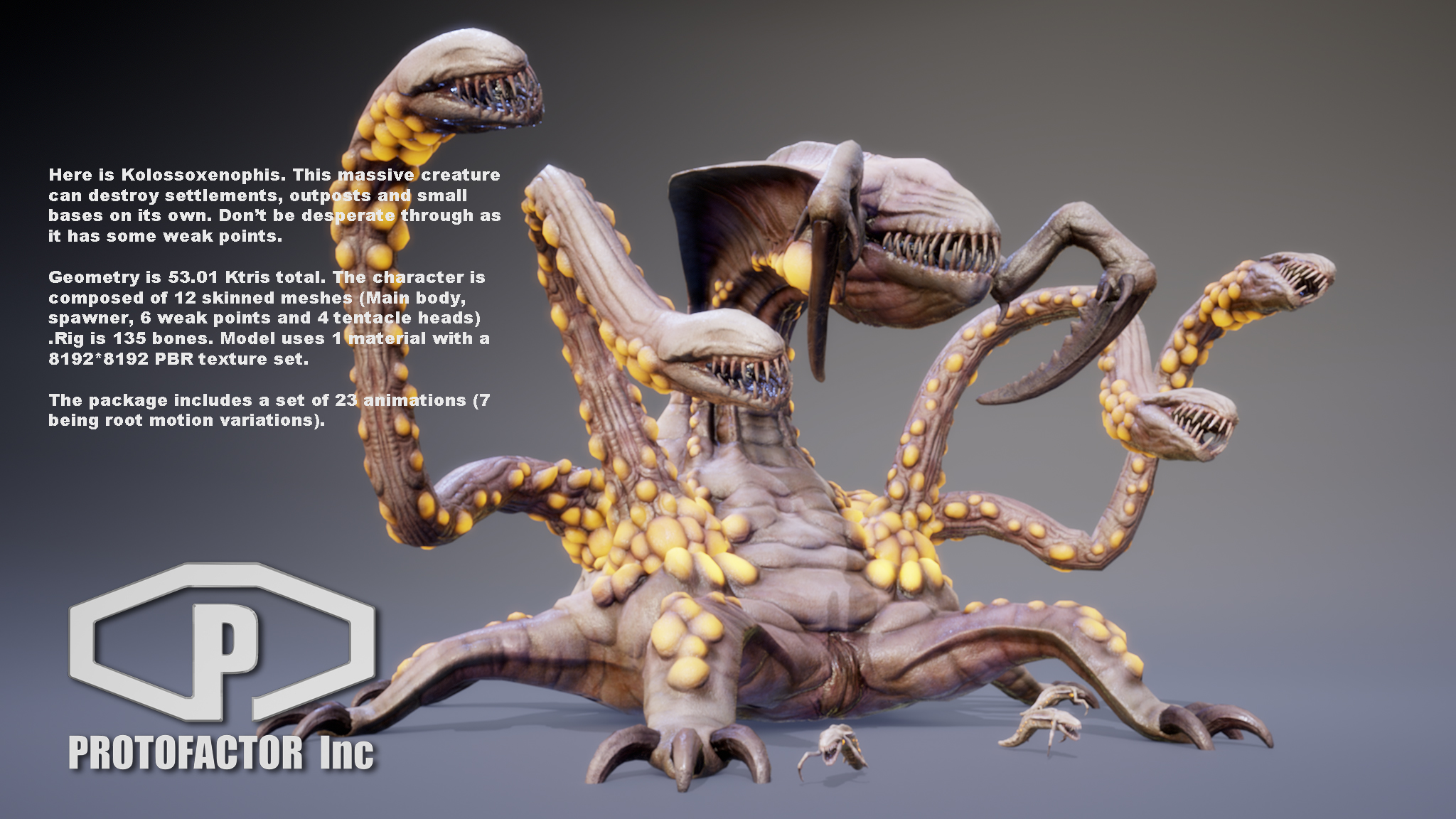 KOLOSSOXENOPHIS - Image 2