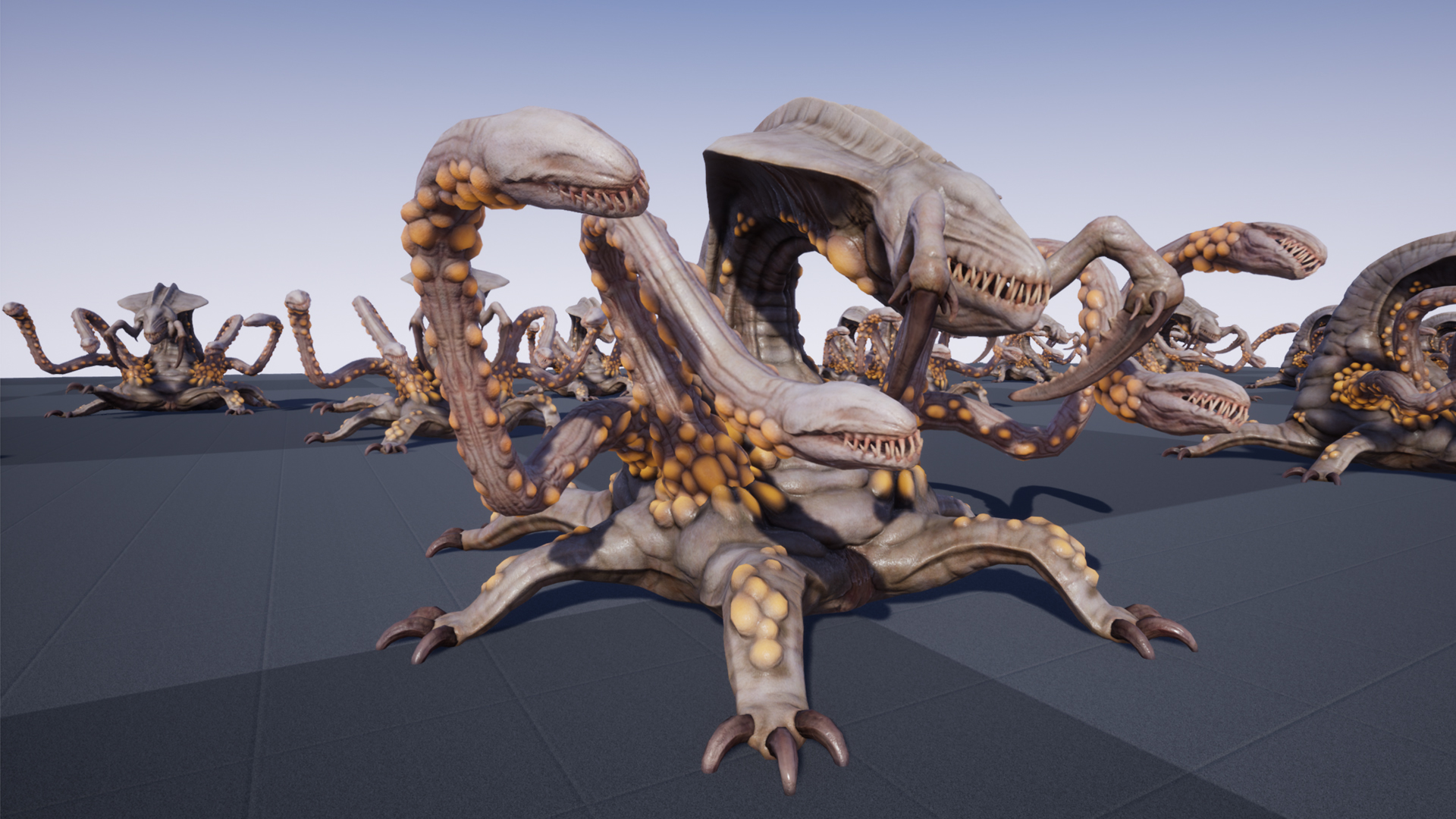 KOLOSSOXENOPHIS - Image 4