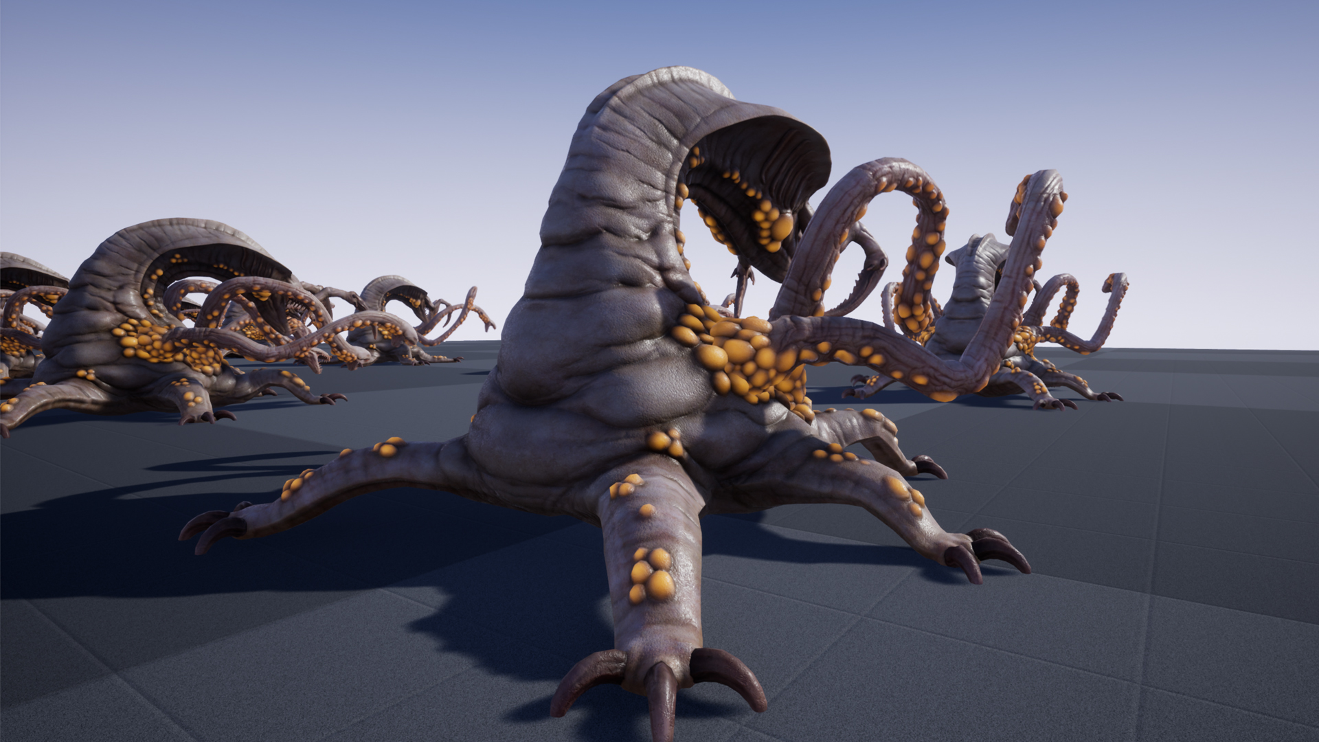 KOLOSSOXENOPHIS - Image 6
