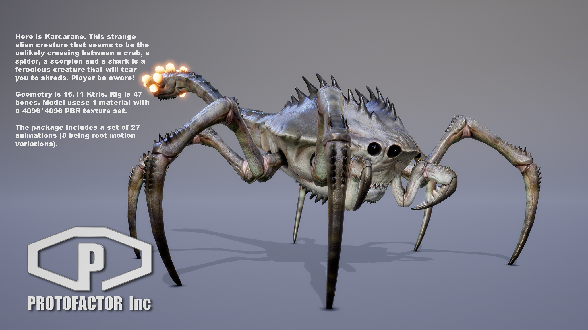 KARCARANE - Image 2