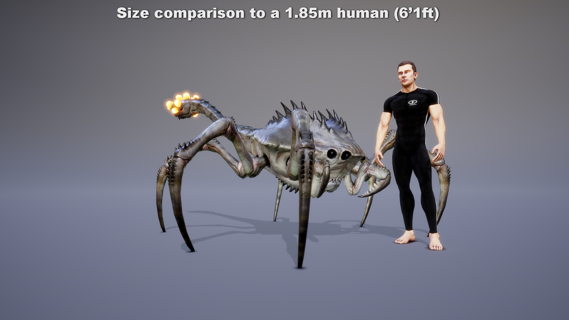 KARCARANE - Image 3