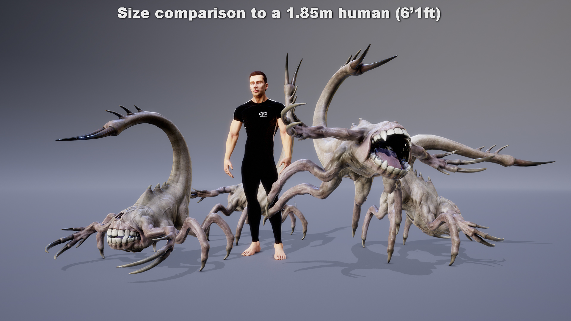 MONSTER: TURPISOMORPH - Image 3