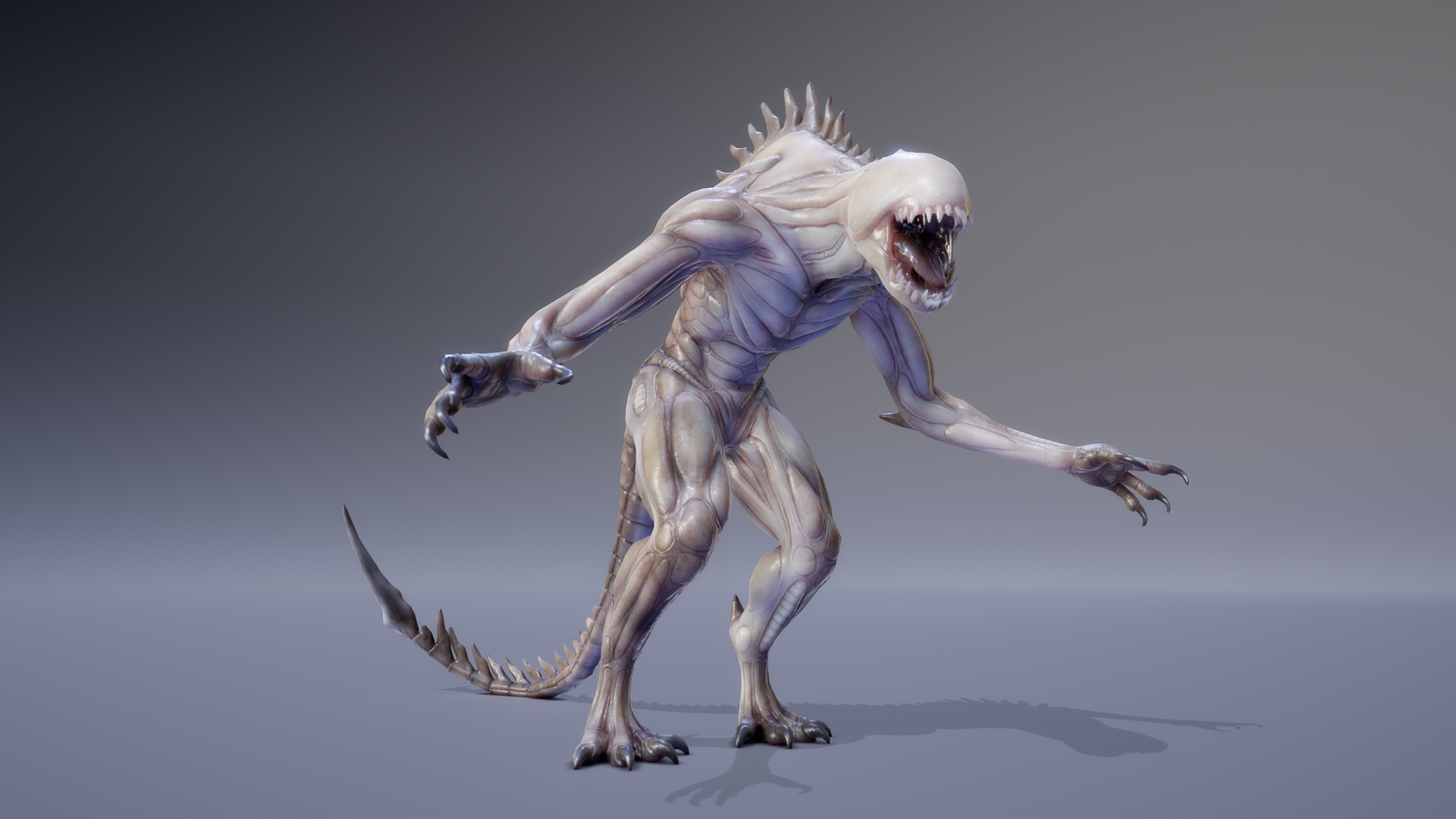 MONSTER: XENOSAURID